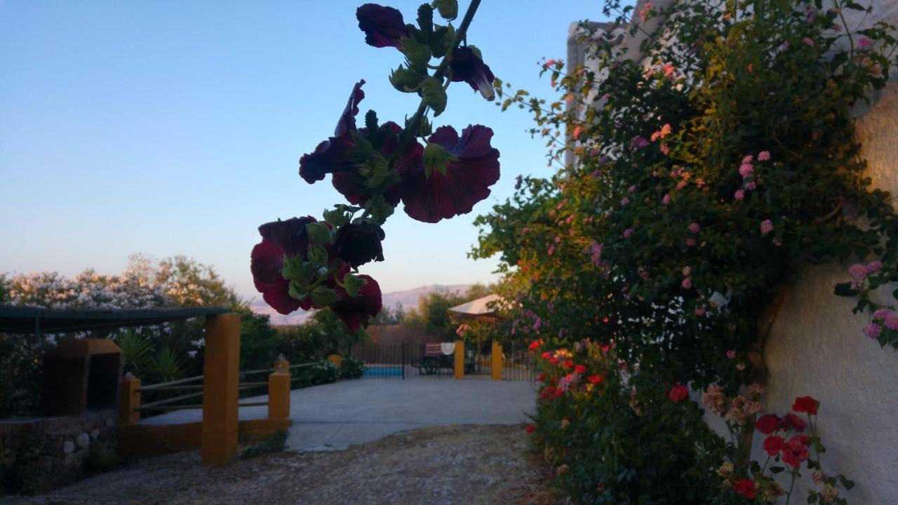 Casa Rural Huerta La Lapa Canete la Real 外观 照片