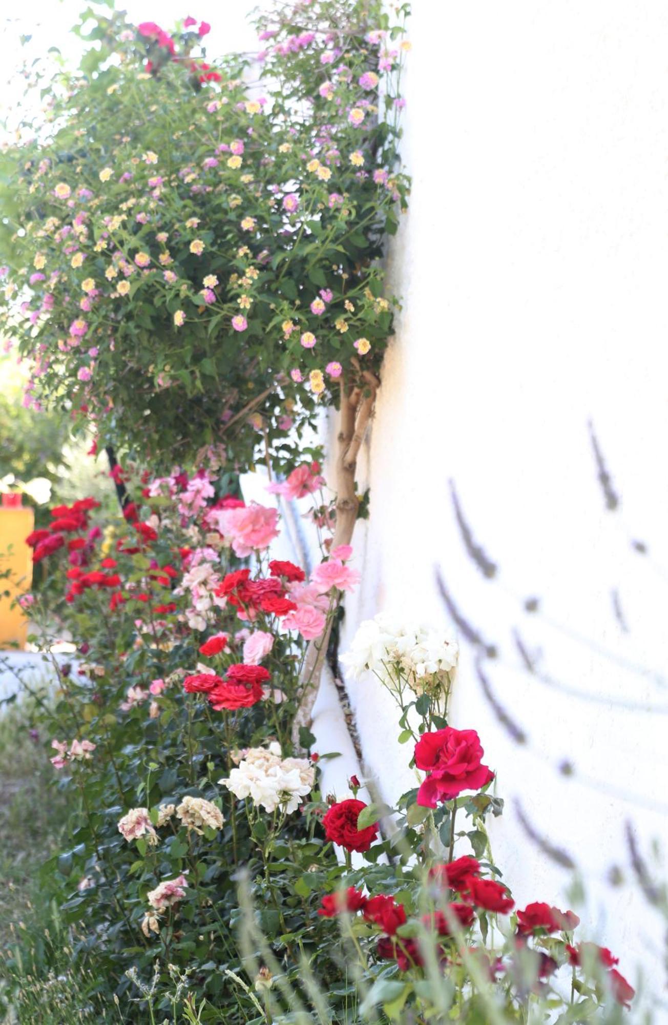 Casa Rural Huerta La Lapa Canete la Real 外观 照片