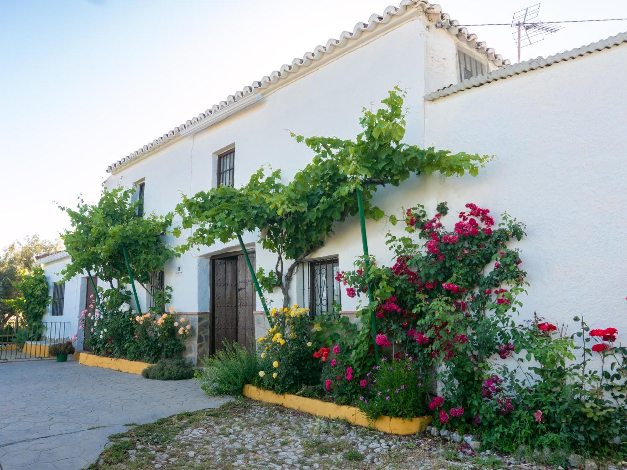 Casa Rural Huerta La Lapa Canete la Real 外观 照片